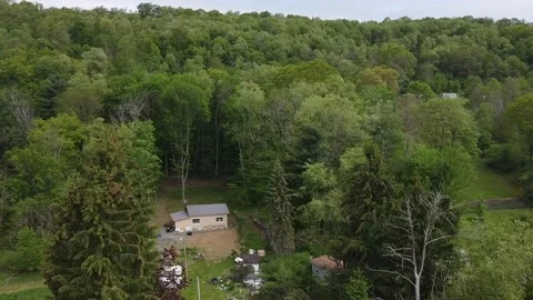 Trees and Buildings Captured From the Sky Vídeo Stock 196135128