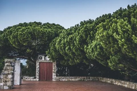 Trees and bushed on the side of an old stone wall ruins and red tiled floor Stock Photos