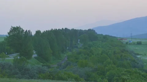 Trees and Bushes Blowing in the Wind Stock-Footage 53232797