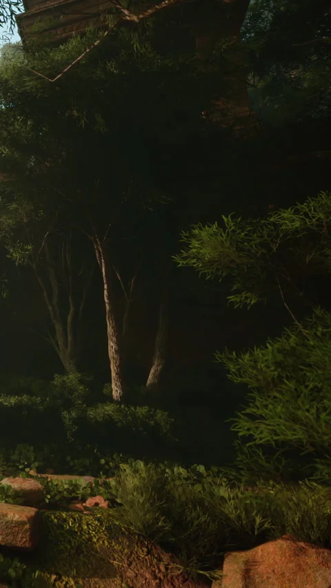 Trees and bushes lit by evening light in a garden setting Stock Footage 342122732