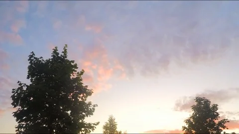 Trees and bushes in Park At Sunset Timelapse 스톡 동영상 78018570