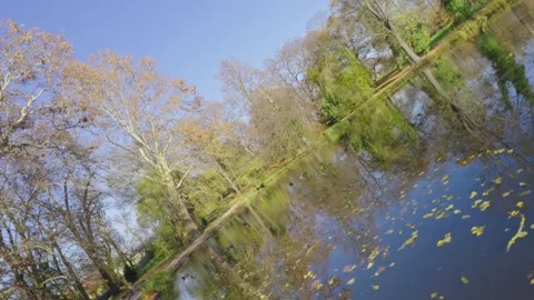 Trees and bushes reflections in the city park water pond. Rotated concept Stock Footage 296800708