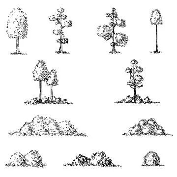 Trees and bushes. Vector illustrations. Isolated objects on white. Stock Illustration