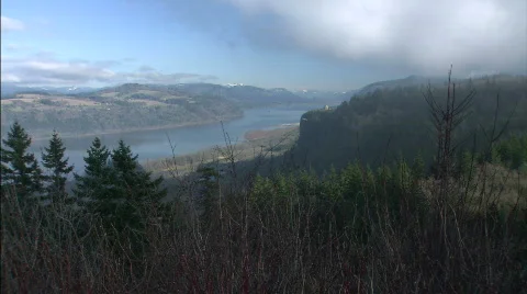 Trees and Cliff by a River Stock Footage 632688