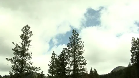 Trees and cloud Stock Footage 10886693