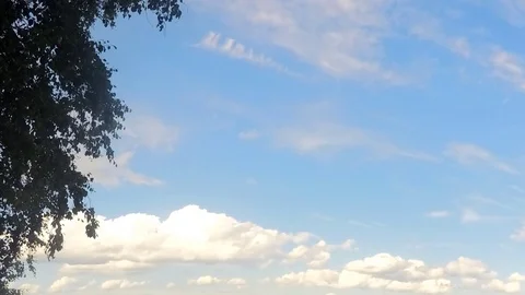 Trees and clouds against blue sky timelapse 스톡 동영상 79815106