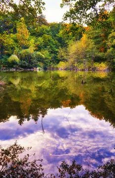 Trees and clouds are reflected in the forest lake. Foto stock
