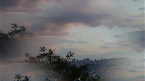 Trees and clouds in the cityscape Stock Footage 284966830