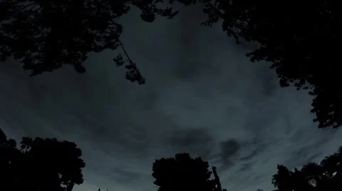 Trees and Clouds at Night 動画素材 2694468
