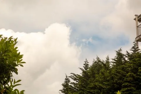 Trees and clouds with a patch of blue sky Stock Photos