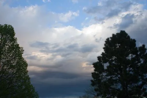 Trees and clouds Stock Photos