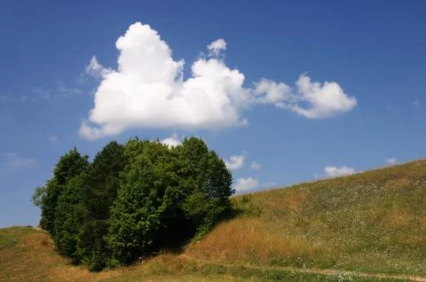 Trees and clouds Stock Photos