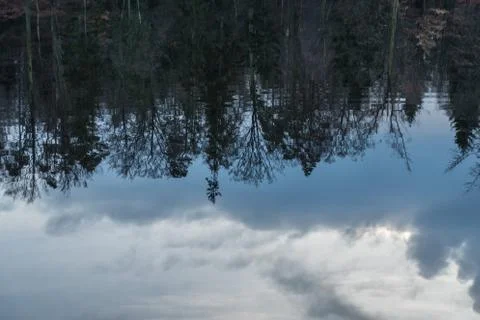 Trees and clouds reflections Stockfoto's