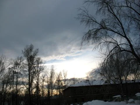 Trees and cloudy sky Stock Photos