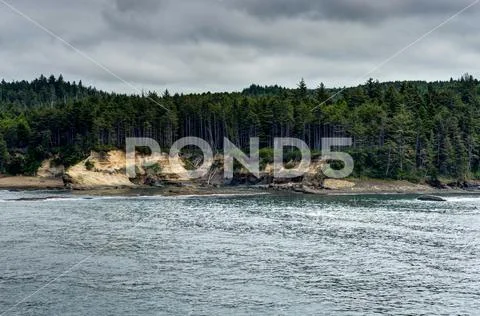 Trees and Coastel View with Pacific Ocean in Oregon United State Stock Photos