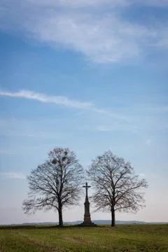 Trees and cross Stock Photos
