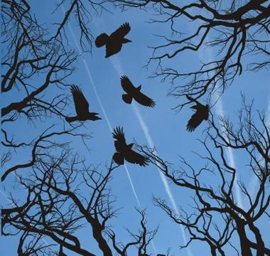 Trees and crows flying in the sky Stock Illustration