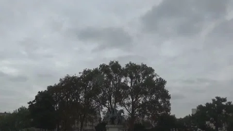 Trees and dark grey sky, Paris, France Stock Footage 98712782