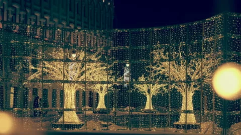 Trees and decorative structures ornamented with luminous garlands in the city Stock Footage 208506432