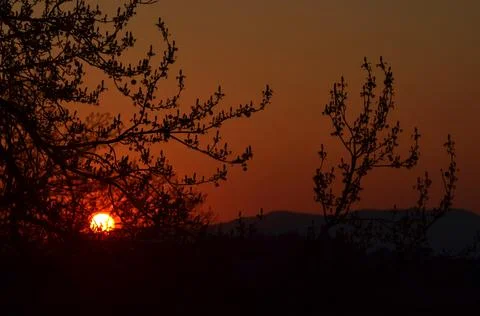 Trees and distant hills frame the setting sun. Stock Photos