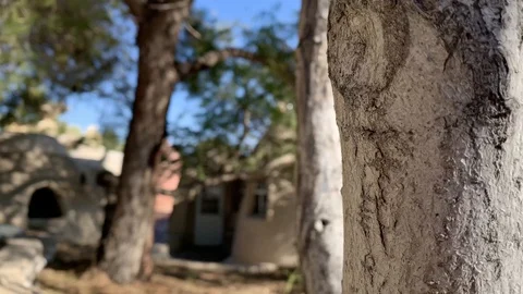 Trees and dome homes Stock Footage 128418295