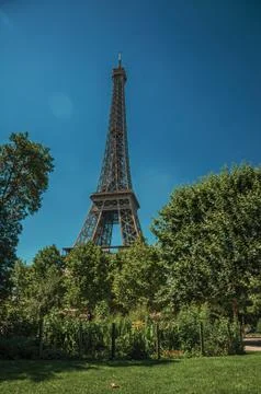 Trees and Eiffel Tower on a sunny day in Paris 스톡 사진