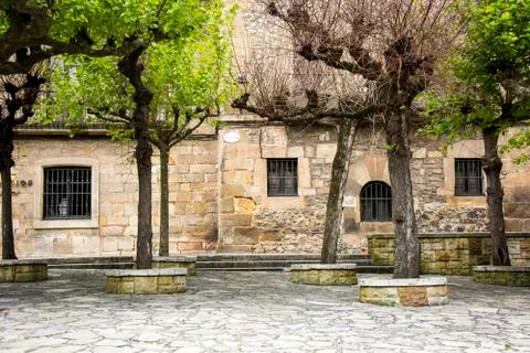 Trees and facade Foto stock