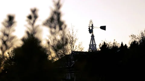 Trees and Farm Windmill durning Sunset Stock Footage 142012350
