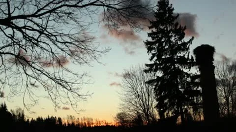 Trees and fast clouds going by Video stock 10580428