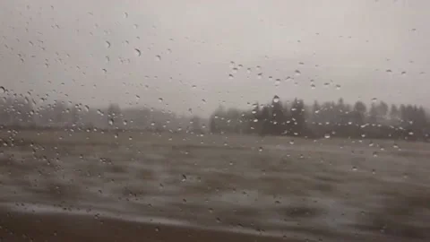 Trees and Fields Go By at Fast Speed through Car Window 4k Stock Footage 136317147