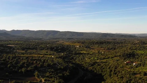 Trees and fields on the green landscape Stock-Footage 102190430