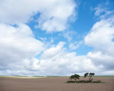 Trees and fields on high plane neer Cochem in german voreifel Stock Photos