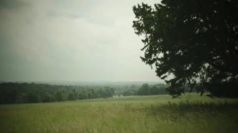 Trees and fields in misty British countryside Stock Footage 196172141