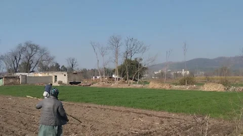Trees and Fields in Winter Season 動画素材 263697672