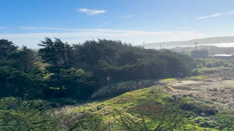 Trees and Forest view with a blue sky Stock Footage 306251277