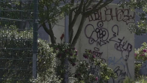 Trees and gate in front of wall with graffiti, Reykjavik, Iceland Stock Footage 74167875