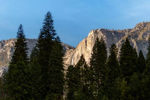 Trees and granite rock face in Yosemite Stock Photos
