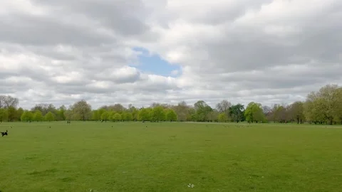 Trees and grass field of famous public park called "Hyde Park" in London. Vídeo Stock 299715752