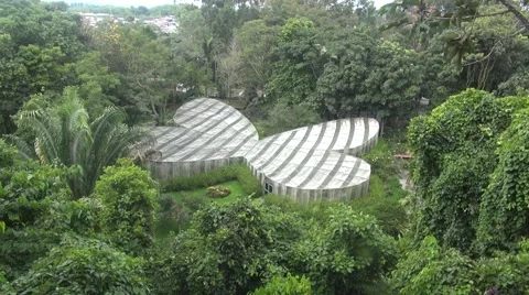 Trees and greenhouse Vídeos de archivo 45619078
