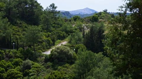 Trees and hills with a road going through it Stock Footage 264939334