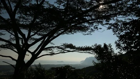 Trees and island Stock Footage 93593599