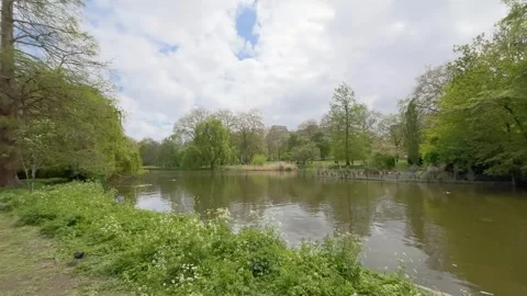 Trees and a lake view of public park  in London. Stock Footage 306065010