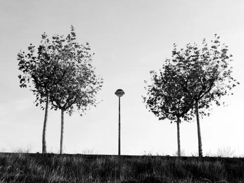 Trees and a lamppost in la Galea Stock Photos