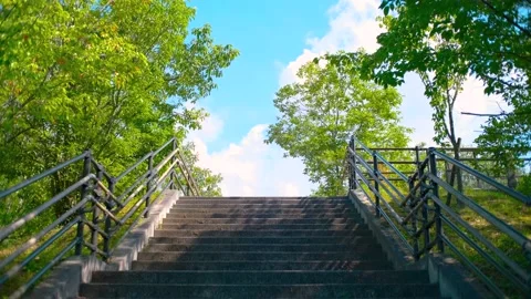 Trees and Leaves Blowing by Wind in Summer, Stairs or Steps Stock Footage 158336012