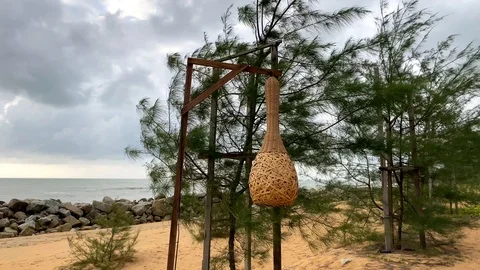 Trees and leaves moving in the wind direction on a cloudy day. Vídeos de archivo 125170102