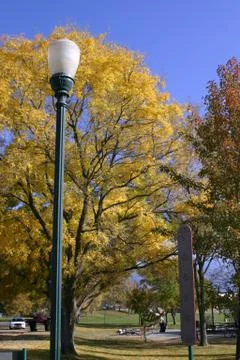 Trees and the light post in the park Stock Photos