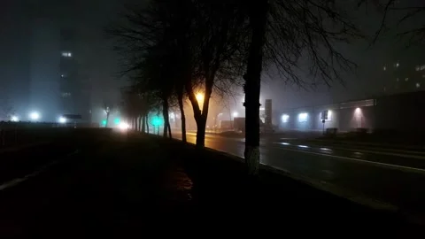 Trees and lights against the backdrop of car headlights at night in the autumn Stockbeeldmateriaal 300343494
