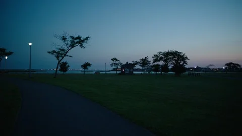 Trees and lights at dusk 2 Video stock 110159330