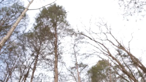 Trees and man 動画素材 104975379