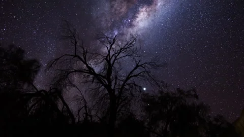 Trees and Milkyway Core in Western Australia Outback Timelapse Stock Footage 157308075